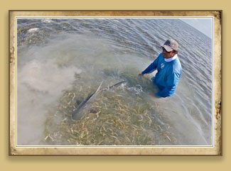 Double Haul Charters Fly Fishing in Key West
