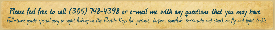 Please feel free to call me or e-mail me with any questions that you may have. Full-time guide specializing in sight fishing in the Florida Keys for permit, tarpon, bonefish, barracuda and shark on fly and light tackle.